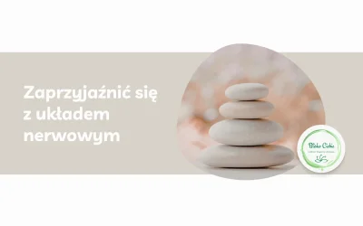 Zaprzyjaźnić się z układem nerwowym