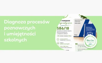 Diagnoza procesów poznawczych i umiejętności szkolnych